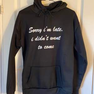 Helt ny hoodie som inte kommit till användning! Bara skriv för fler frågor och bilder💕