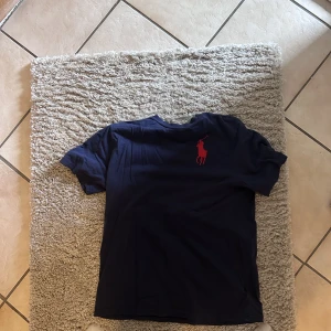 Ralph Lauren t-shirt - Inga hål eller fläckar osv  Lite för stor för mig som är 177 och normalt bär storlek S. Skulle säga att den sitter som en M-L  Nypris: 399  Köpare står för frakt