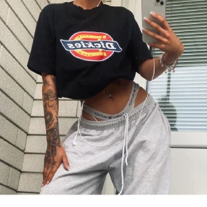 Dickies Tshirt - Tshirt från Dickies, strl M.  Nyskick