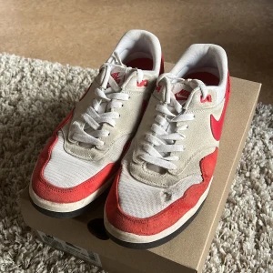 Nike SB GTS - Ett par kosmetiskt slitna Nike SB GTS som fortfarande går att skejta. Ett hål finns på främre vänster sko, och skorna är lite dammiga. Annars är skorna hela!