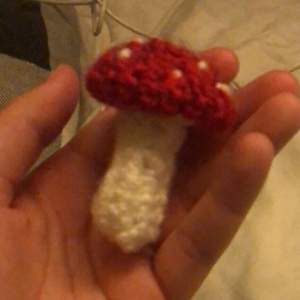 Smaller version of then big mushrooms 