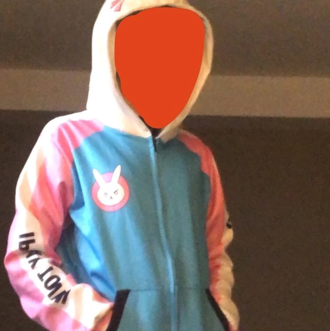 D.VA hoodie
