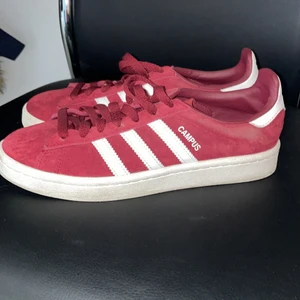 adidas  - använda några gånger men små på mig nu 