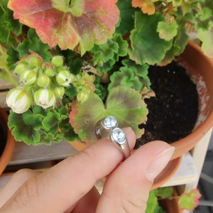 Ring  - Silvrig ring med två stenar. Ej spårbar frakt kostar 15kr 🫶