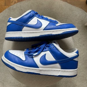 Nike dunk low sp Kentucky  - Storlek 44 Skorna är i bra skick. 