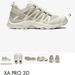 SÖKER Salomon AX PRO 3D - Hej, har du eller har du sett denna skon i storlek typ 42-43 HÖR AV DIG SÅ KÖPER JAG DEN