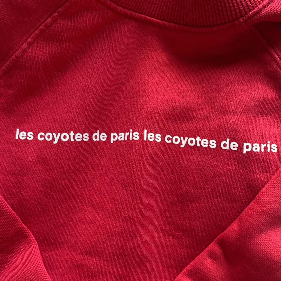 Les coyotes de Paris tröja - 91
