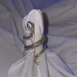 Ring orm  - Jätte fin silver ring från glitter!