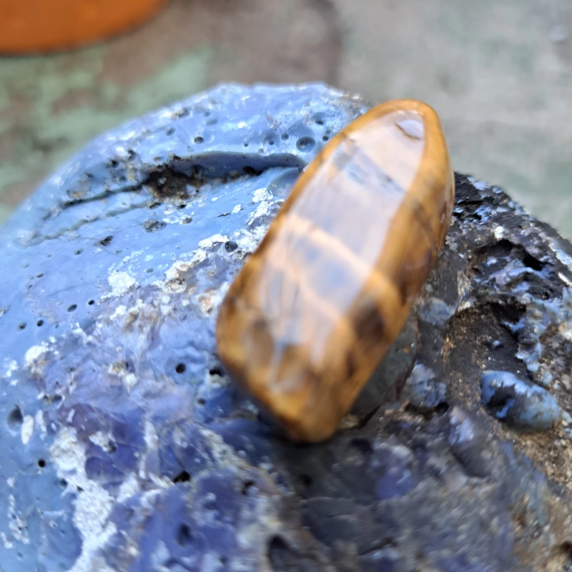 Tigeröga. En av mina första. Lite kul.  - 90