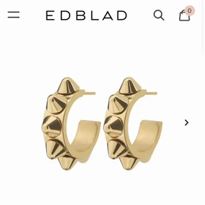 Edblad örhängen  - Säljer mina helt oanvända Edblad örhängen då det ej kommer till användning💓 fick dem i födelsedagspresent💓