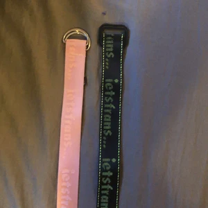 Iets frans skärp - 2 jätte fina skärp från Urban Outfitters. 25kr för en skärp 