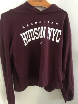 Hoodie  - En lite tunnare Hoodie från H&M. Tecken på användning men i bra skick. 