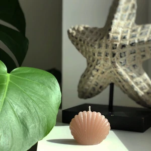 🐚 Shell Candle 🐚 - En jätte fin snäcka som ger sommarkänsla bland hemma dekorationen 😍   (Vid doft och/eller gold flakes; 12kr)  (Vid present packning; 4kr)   Tillgängliga dofter: Ocean, Rosor, Kanel, Nytvättat & Cotton Candy