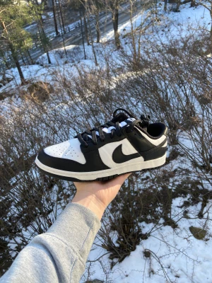 Nike Dunk Low Black White - Helt Nya! 42.5, 44, 47, 47.5