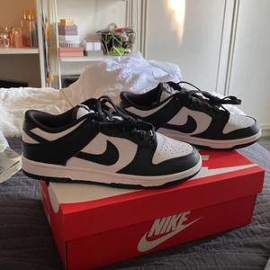 Nike dunks - Helt nya! Allt som kommer till skorna följer med