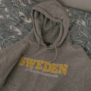 vintage hoodie - säljer denna hoodien, köpt på second hand! står att den är i storlek L men skulle säga att den passar mer som en oversized M. 100kr + frakt på 49kr = 149kr 🤍