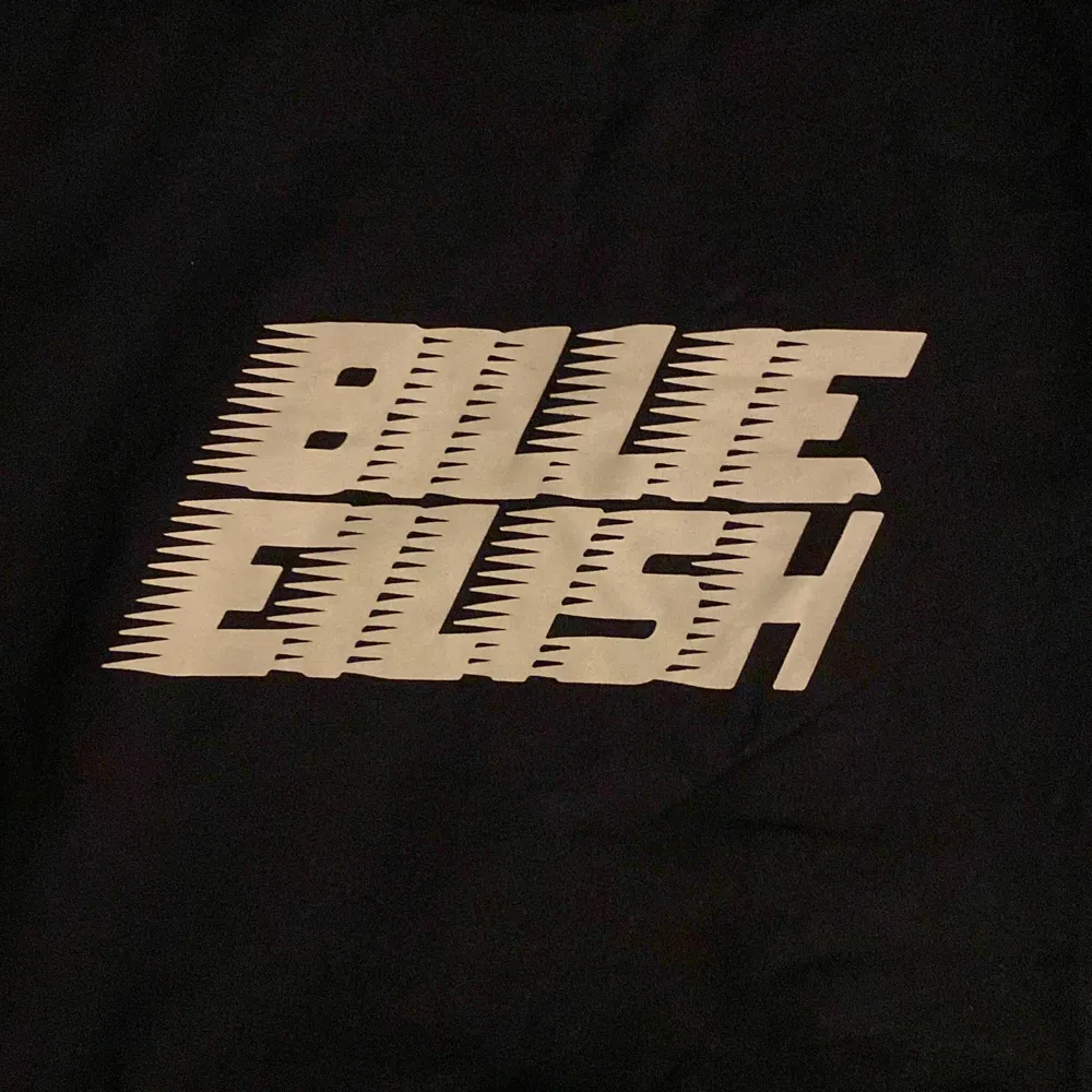 Oversized Billie Eilish t-shirt från h&m i jätte fint skick. Skulle funka jätte bra till ett par shorts eller jeans!💗. T-shirts.