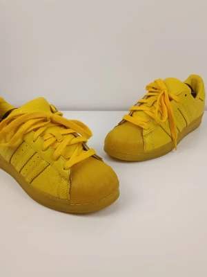 Adidas Superstar Sneakers Gula Storlek 38 2/3 - Feta gula Adidas Superstar sneakers med klassiska tre ränder på sidan och tåhätta i gummi. Skorna har gula skosnören och sula, samt ovandel i läder och textil. Perfekt för dig som vill sticka ut med färg på fötterna. Kolla på bilderna för egen bedömning. 