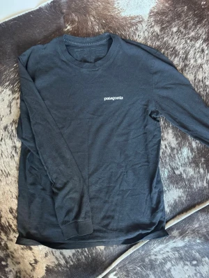 Svart långärmad tröja Patagonia - Svart långärmad tröja från Patagonia med logga på bröstet och stort tryck med berg och färgade ränder på ryggen. Rund halsringning och mjukt material, perfekt för en avslappnad look.