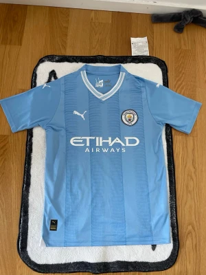 Manchester City Haaland tröja Puma - Snygg ljusblå Manchester City t-shirt från Puma med Haaland och nummer 9 på ryggen. Tröjan har klubbmärke och sponsortryck på bröstet samt korta ärmar och v-ringad krage. Perfekt för fotbollsfans som vill visa sitt stöd.