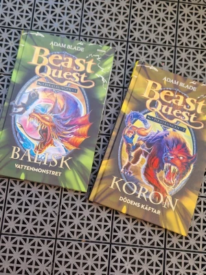 Böcker - Två spännande och lättlästa fantasyböcker ur den omåttligt populära serien Beast Quest. Perfekt för lite yngre barn som gillar fartfyllda äventyr, monster och magi!Böckerna ingår i den åttonde omgången som kallas ”Piratkungen". Inga defekter