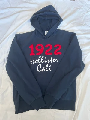 Vintage Hollister hoodie  - Riktigt snygg hoodie från hollister. Materialet är riktigt skönt och stretchigt. Skicket är 10/10. Storleken på etiketten säger XXL men den sitter mer som en M/S. Startpriset börjar på 599 men kan diskuteras😊😊