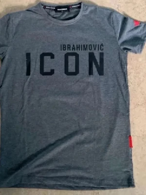 Grå ICON t-shirt från Dsquared2 - Snygg grå t-shirt från Dsquared2 med trycket 'IBRAHIMOVIĆ ICON' på framsidan och en stor svartvit bild på baksidan. T-shirten har rund hals och korta ärmar, perfekt för en trendig och sportig look.