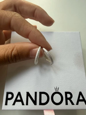 Silvriga örhängen  - Snygga silvriga örhängen en stilren och enkel design. Örhängena är i metall med en glittrig, texturerad yta som ger en modern touch. Perfekta för dig som gillar minimalistiska smycken med lite extra detalj.