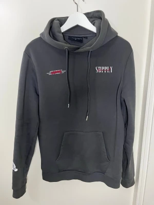 Grå hoodie från Supply & Demand - Snygg grå hoodie från Supply & Demand med tryck fram och stort konstmotiv på ryggen. Hoodien har huva med dragsko, känguruficka och coola detaljer på ärmen. Perfekt för dig som gillar streetwear och vill sticka ut med unika prints.