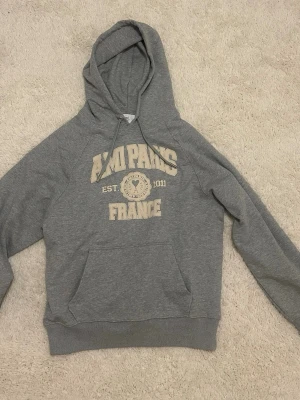 Grå hoodie från AMI Paris France - Säljer en grå hoodie från AMI Paris France med tryck på bröstet och broderad AMI-logga på rygggen. Materialet är mjukt och bekvämt, perfekt för en avslappnad look.