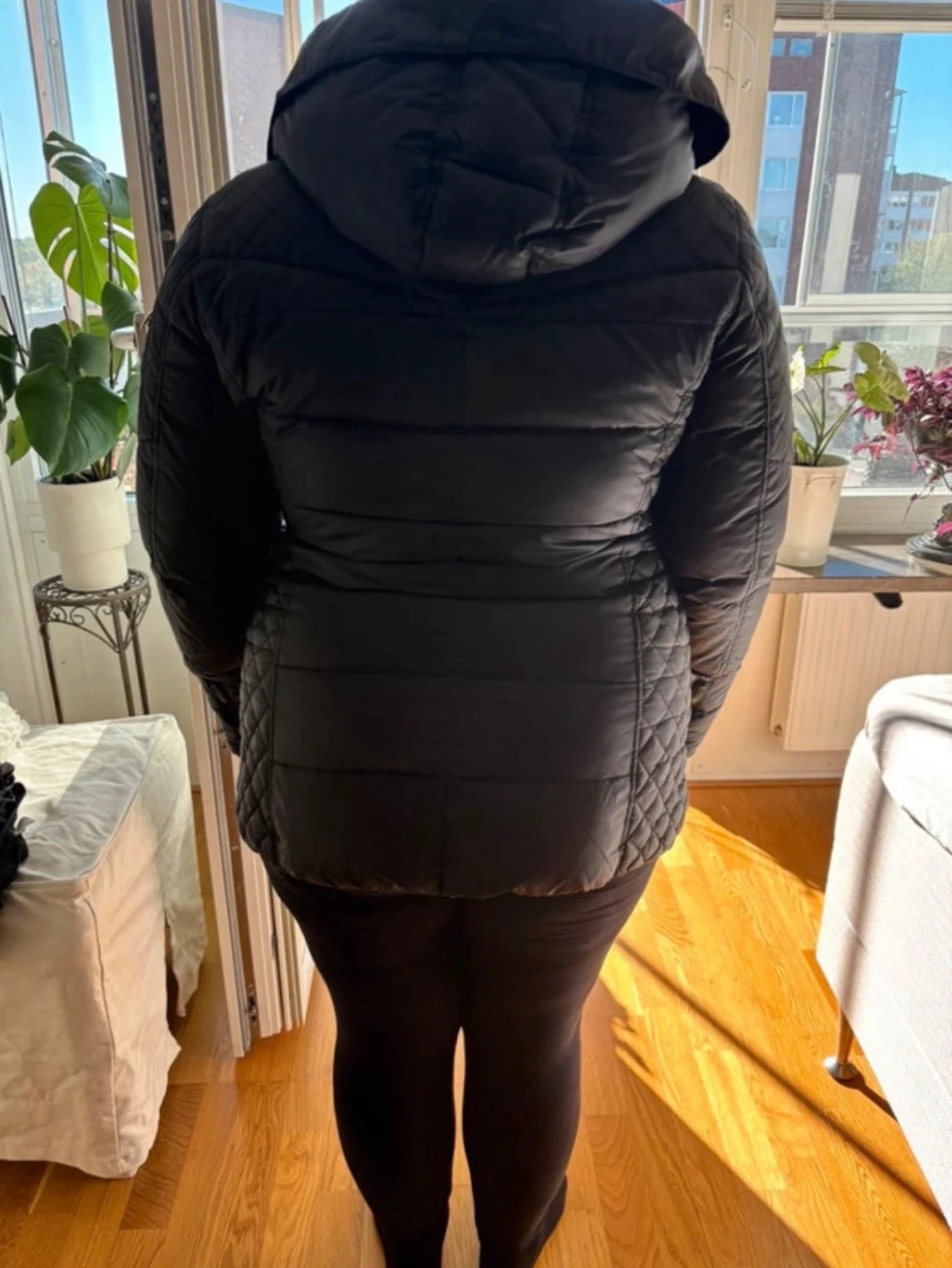 Rock and blue jacka  - 2