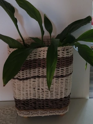 Randig flätad kruka med växt - Snygg flätad kruka i beige och brunt med rektangulär form. Krukan har ett randigt mönster och innehåller en grön växt med långa blad. Perfekt som inredningsdetalj för att ge rummet en naturlig känsla.