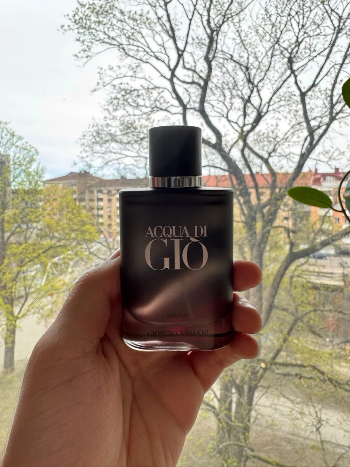 Acqua di Giò Parfum 50ml Armani  - 1