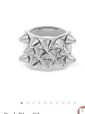 Silvrig peak ring Edblad  - Från Edblad, tar gärna emot egna prisförslag.  Inte använda men har inte original förpackning kvar💕