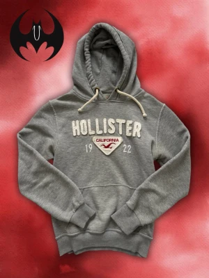 Vintage Hollister Hoodie  - Säljer denna eftertraktade Hollister hoodie | Mycket bra skick, väldigt liten gul fläck som syns inte | size S kan också vara XS | Längd: 63cm Bröstvidd: 51cm Armlängd: 62cm | passar dig mellan 165–175 cm | Lägg endast bud med avsikt att köpa nu, inga fördröjning! Pris är inte hugget i sten!