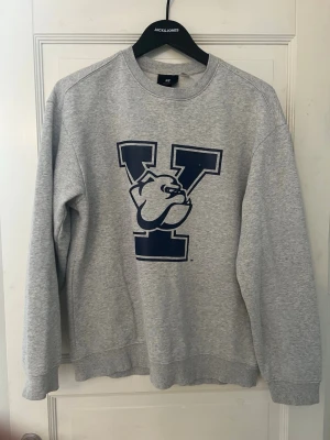 Grå Yale sweatshirt från H&M - Säljer en grå sweatshirt från H&M med blått Yale-tryck och bulldog på framsidan. Tröjan har rund halsringning och är tillverkad i mjuk bomullsmix. Perfekt för en avslappnad och sportig stil.