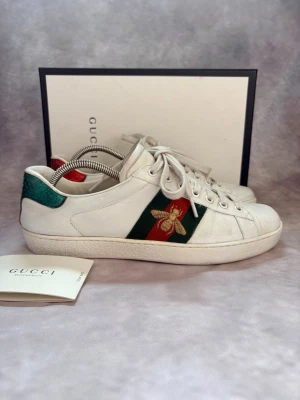 Gucci Ace Skor - Stl UK 7,5 / 41,5  - Feta Gucci Ace Skor! 😮‍💨🏖️ | Fint skick: 8/10, finns tecken på användning | Storlek: 41,5 | Ingår: Skorna och Skoboxen  | Nypris: Ca 7000kr | Självklart äkta 🙌  Hör av dig vid frågor! 🙌🏖️
