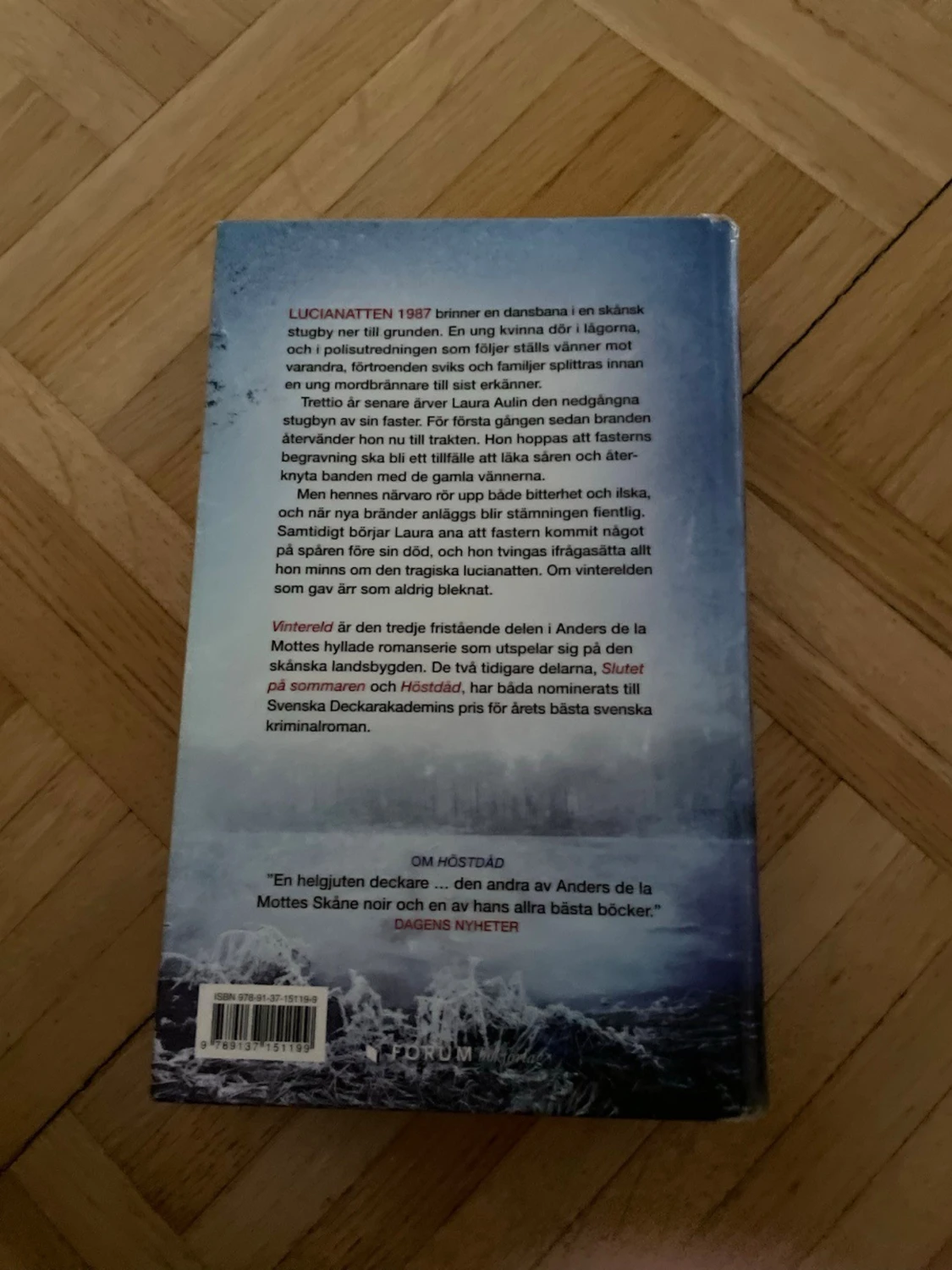 Vintereld av Anders de la Motte - 1