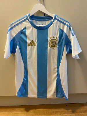 Argentina Messi fotbollströja  - Säljer en klassisk Argentina fotbollströja från Adidas med blå och vita ränder, guldiga detaljer och AFA-emblem på bröstet. Messi och nummer 10 tryckt på ryggen. Tillverkad i lätt och ventilerande material, perfekt för fotboll eller träning.