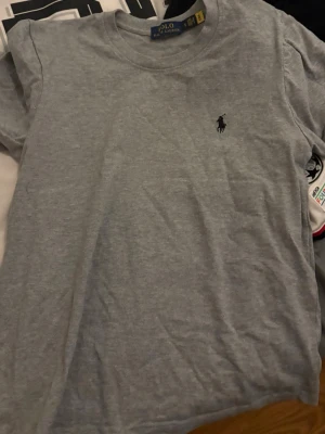 Grå t-shirt från Polo Ralph Lauren - Klassisk grå t-shirt från Polo Ralph Lauren med den ikoniska lilla loggan broderad på bröstet. T-shirten har rund halsringning och korta ärmar. Tillverkad i mjuk bomull för en skön känsla och enkel stil.