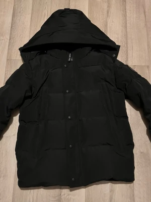 Canada goose - Säljer denna svarta Canada goose jackan black label och en trapstar tröja i storlek S ingår också gratis i köpet.