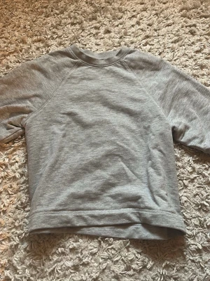 Grå basic sweatshirt utan huva - Enkel och stilren grå sweatshirt i mjukt bomullsmaterial. 🩷