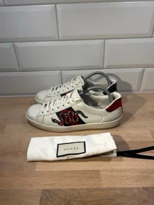 Gucci Ace Snake - Gucci Ace Snake i använt men fortfarande bra skick🐍| Storlek: 42 kan passa 43 | Ingår: Dust bag | Vid frågor eller diskussion om pris är det bara att skriva✍🏼| Frakt inom 48h📦