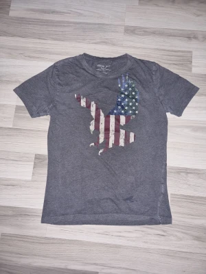Grå t-shirt med USA-örntryck - Snygg grå t-shirt från Denim Day med ett stort tryck av en örn i amerikanska flaggans färger på bröstet. Klassisk passform och rund halsringning. Perfekt för dig som gillar bandmerch och vill ha en unik look. Har en fläck fram och ett litet hål bak.