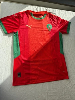 Marocko fotbollströja Puma röd/grön - Snygg röd fotbollströja från Puma med gröna detaljer och Marockos landslagsemblem på bröstet. Tillverkad i lätt och ventilerande material med DriCELL-teknologi. Perfekt för träning eller match. Klassisk rund hals och korta ärmar.