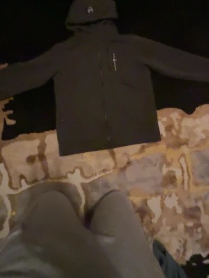 Svart hoodie med dragkedja och huva - Säljer en svart hoodie från Sail Racing med dragkedja framtill och broderad logga på bröstet. Hoodien har en klassisk huva och raka ärmar. Perfekt för en avslappnad och sportig stil. Materialet känns mjukt och bekvämt. Står 170 inne i tröjan. Önskar 400 men kan sänkas vid nödhet.