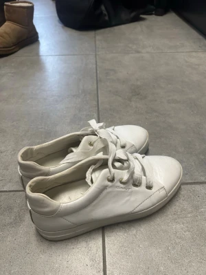 Vita sneakers från Gant - Säljer ett par klassiska vita sneakers från Gant. Skorna har en stilren design med vita snören, diskret logga på sidan och är tillverkade i slätt läder. Stolek 40.