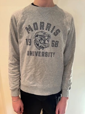 Grå Morris Sweatshirt - Säljer en snygg grå Morris sweatshirt i storlek M. Modellen på bilden är 193 cm lång och väger 68 kg.