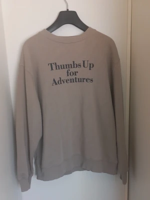 Beige sweatshirt  - Beige sweatshirt från Zara i storlek 164. Mjuk och bekväm modell med avslappnad passform och snyggt texttryck fram. Använd men i fint skick utan hål eller större skador. Perfekt till vardags och enkel att matcha med jeans eller mjukisbyxor.