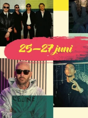 Lördag city festivalen  - Säljer lördags biljett till city festivalen. Kom med bud